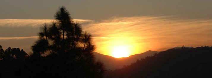 1724/Elphinstone Himalaya Resort - Almora 08.jpg